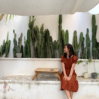 Nguyễn Thị Tố Nhi