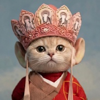 Thái Võ