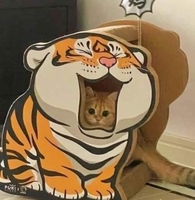 Thiếu Tá Bú Đá