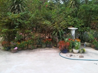 trãi nghiệm
