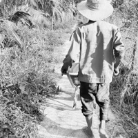 Linh Nguyễn 