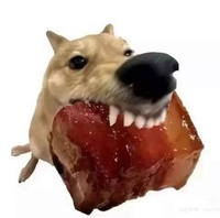 Mòe Bóng Đêm
