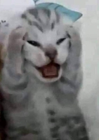 Một đời liêm khiết