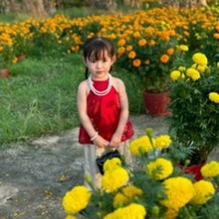 Trí Nguyễn