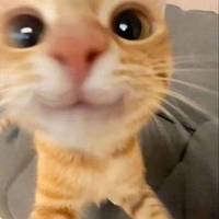 Yi Hi