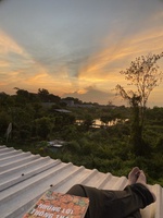 Duy Trần