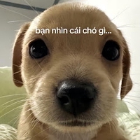 huy quang