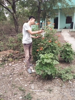 Lưu Quân Thành