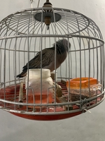 Tên chưa cung cấp