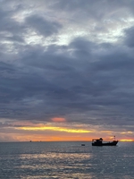 phương uyên