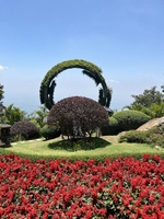 Tuyết Nhi