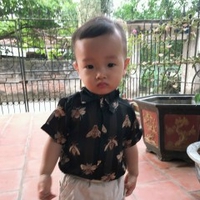 Bảo Nam