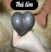 Nguyễn Minh