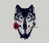 RED WOLF