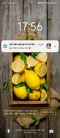 mẫn 