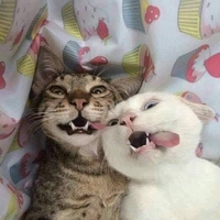 Oh