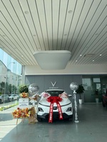 Mr Anh Vinfast Thọ Huyền