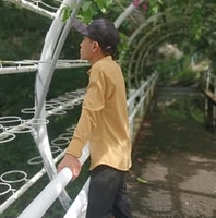 Lưu Vũ