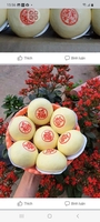 hoàng Oanh
