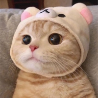 Ngô Đại