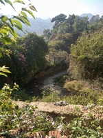 Quí