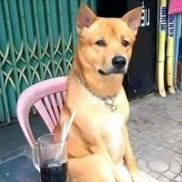 Luân