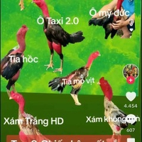 Đệ Nhất Vảy Rồng