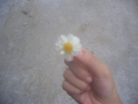 Nguyễn Thị Mai Hương