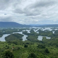 Nguyên Bảo