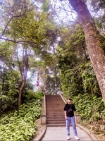 Hoàng Anh