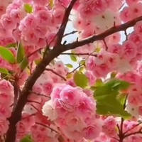 Thuận Đông Phát