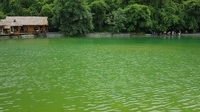 Kim Cốm