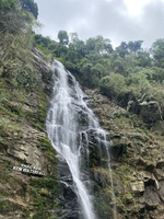 Huy Hoangv