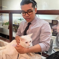 vinh nguyen