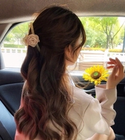 Xuan Le