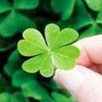 Đặng Thị Yến Nhi