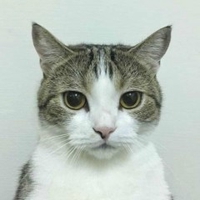 Trần Khôi Nguyên