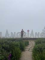 Phương Lê
