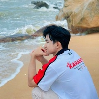 Hiếu Tô