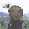 Dung Hoang