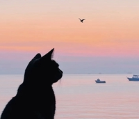 Hàng Thanh Lý Giá Rẻ