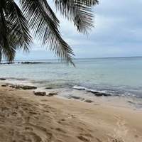 Trịnh Tài