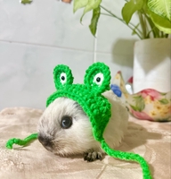 Shop Bọ Ú Văn Đang