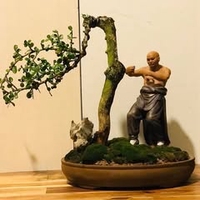 Chong Chóng CT