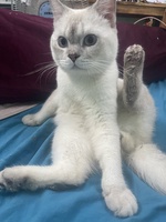 Minh Thắng