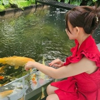 bùi thị hồng sang