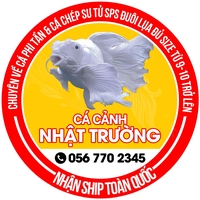 Nhật Trường