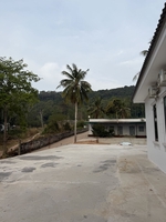 Hải Nguyễn