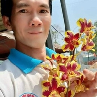 Nông Văn Đỗ