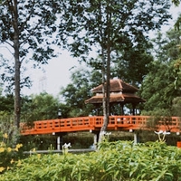 Quyên Nguyễn Thị Hạnh